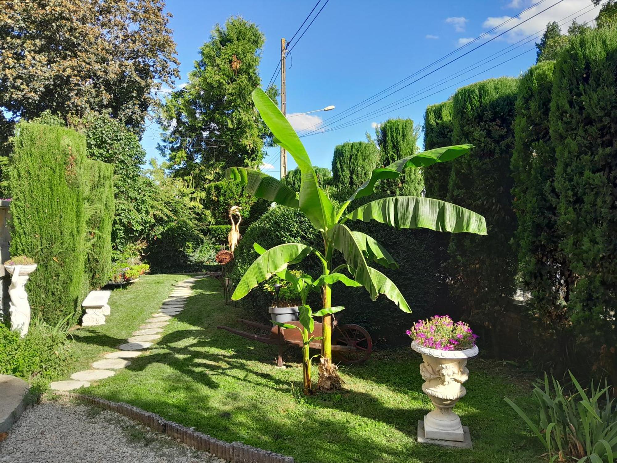 Bed and Breakfast Le Madrigal Mamers Esterno foto